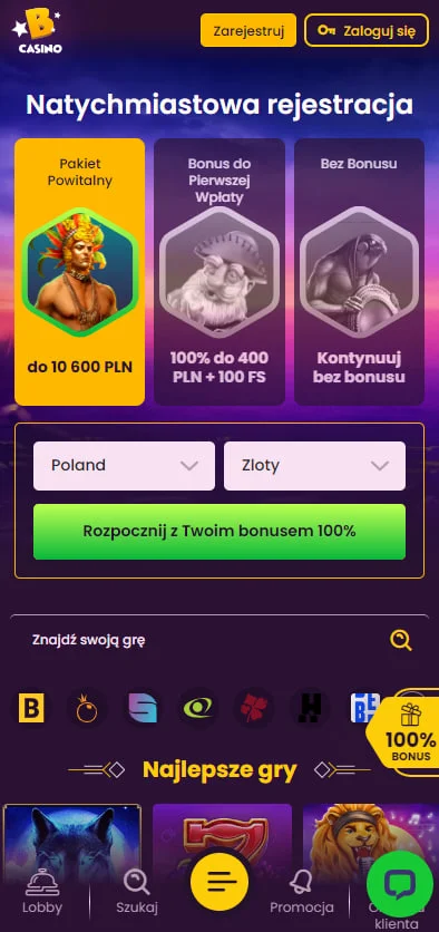 Bizzo Wersja Mobilna